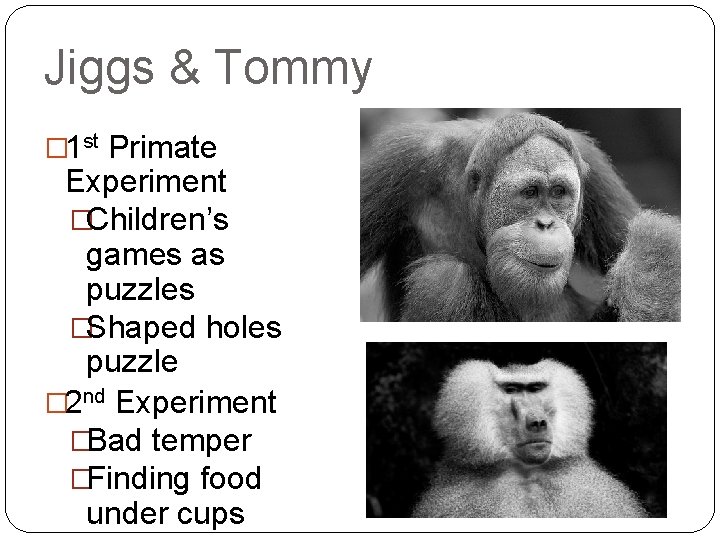 Jiggs & Tommy � 1 st Primate Experiment �Children’s games as puzzles �Shaped holes