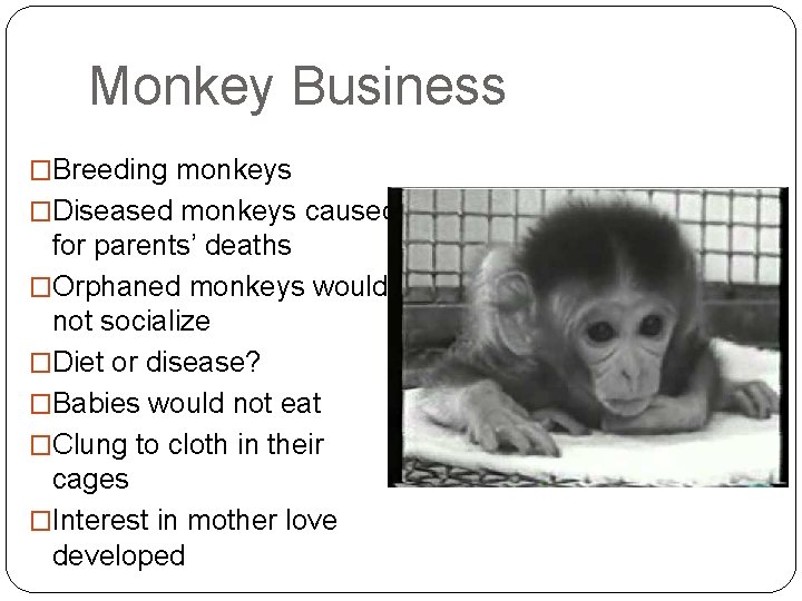 Monkey Business �Breeding monkeys �Diseased monkeys caused for parents’ deaths �Orphaned monkeys would not