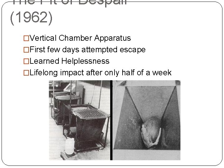 The Pit of Despair (1962) �Vertical Chamber Apparatus �First few days attempted escape �Learned