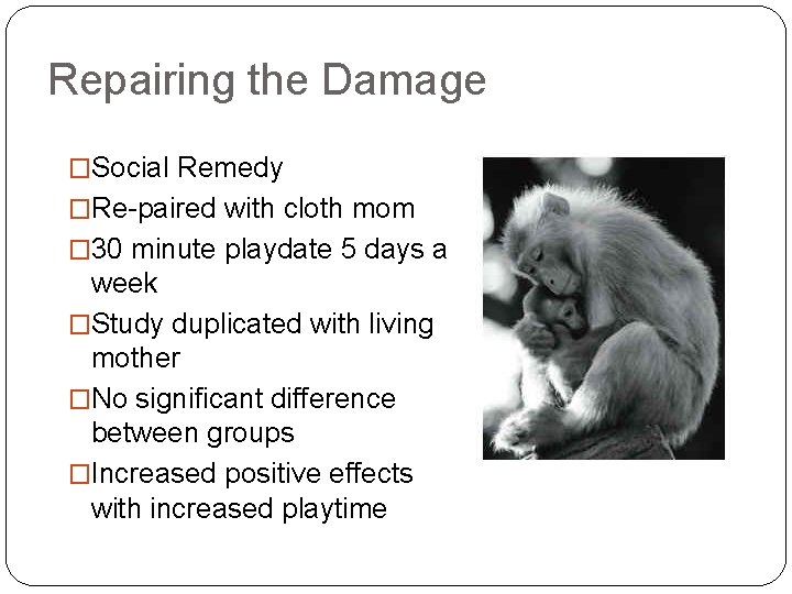 Repairing the Damage �Social Remedy �Re-paired with cloth mom � 30 minute playdate 5