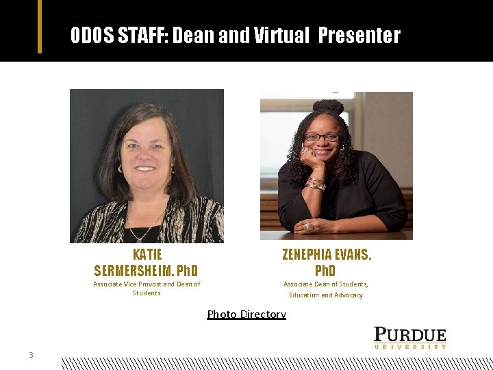 ODOS STAFF: Dean and Virtual Presenter KATIE SERMERSHEIM. Ph. D Associate Vice Provost and ODOS STAFF: Dean and Virtual Presenter KATIE SERMERSHEIM. Ph. D Associate Vice Provost and