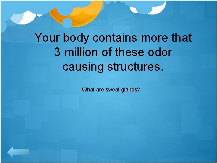 Your body contains more that 3 million of these odor causing structures. What are
