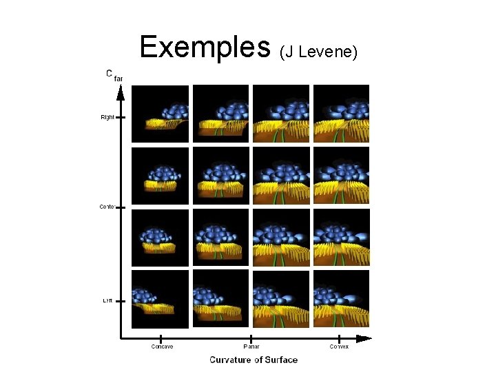 Exemples (J Levene) Exemples (J Levene)