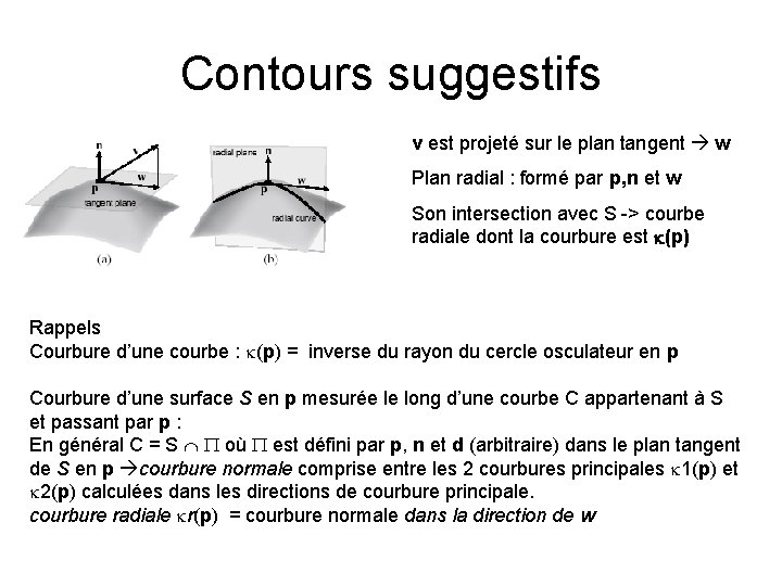 Contours suggestifs v est projeté sur le plan tangent w Plan radial : formé Contours suggestifs v est projeté sur le plan tangent w Plan radial : formé