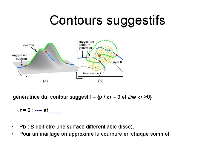 Contours suggestifs génératrice du contour suggestif = {p / kr = 0 et Dw Contours suggestifs génératrice du contour suggestif = {p / kr = 0 et Dw