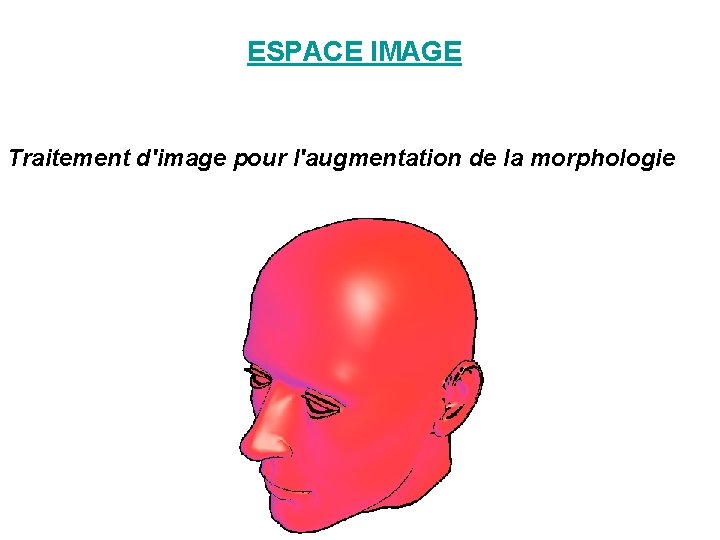 ESPACE IMAGE Traitement d'image pour l'augmentation de la morphologie ESPACE IMAGE Traitement d'image pour l'augmentation de la morphologie