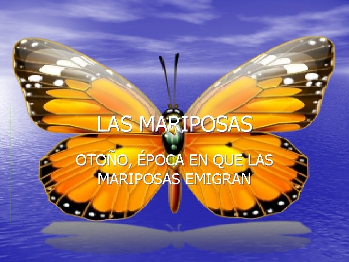 LAS MARIPOSAS OTOÑO, ÉPOCA EN QUE LAS MARIPOSAS EMIGRAN 