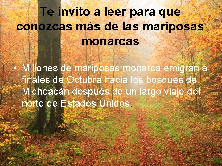 Te invito a leer para que conozcas más de las mariposas monarcas • Millones