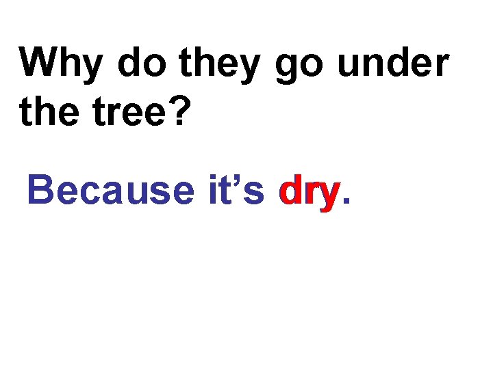 Why do they go under the tree? Because it’s dry 