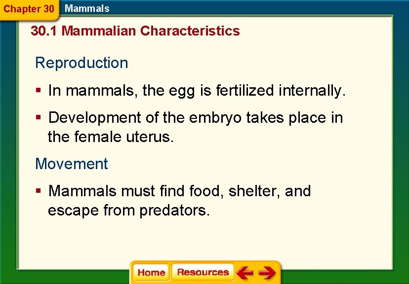 Chapter 30 Mammals 30. 1 Mammalian Characteristics Reproduction § In mammals, the egg is