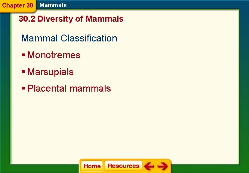 Chapter 30 Mammals 30. 2 Diversity of Mammals Mammal Classification § Monotremes § Marsupials