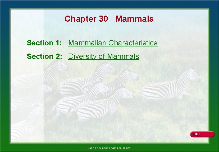 Chapter 30 Mammals Section 1: Mammalian Characteristics Section 2: Diversity of Mammals Click on