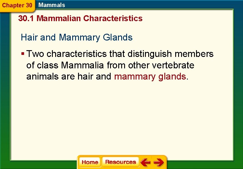 Chapter 30 Mammals 30. 1 Mammalian Characteristics Hair and Mammary Glands § Two characteristics