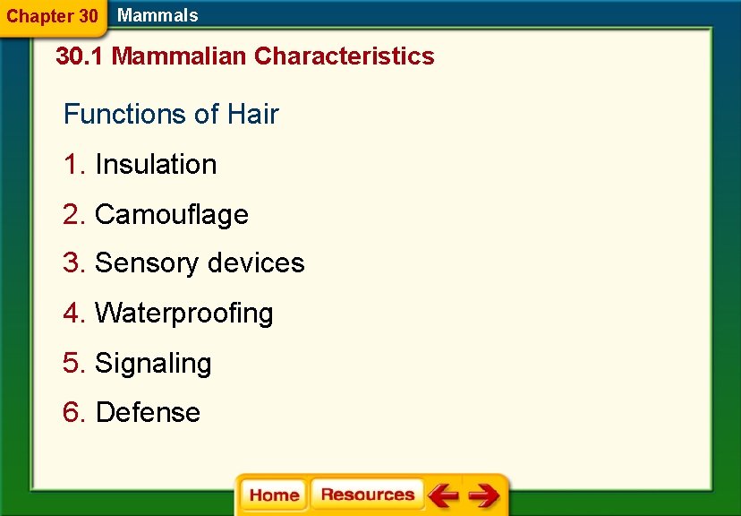 Chapter 30 Mammals 30. 1 Mammalian Characteristics Functions of Hair 1. Insulation 2. Camouflage