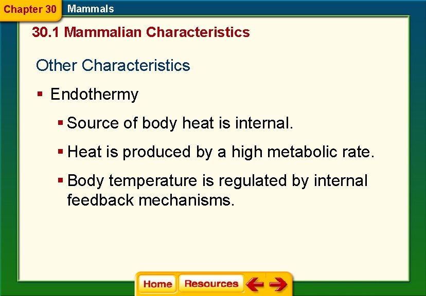 Chapter 30 Mammals 30. 1 Mammalian Characteristics Other Characteristics § Endothermy § Source of