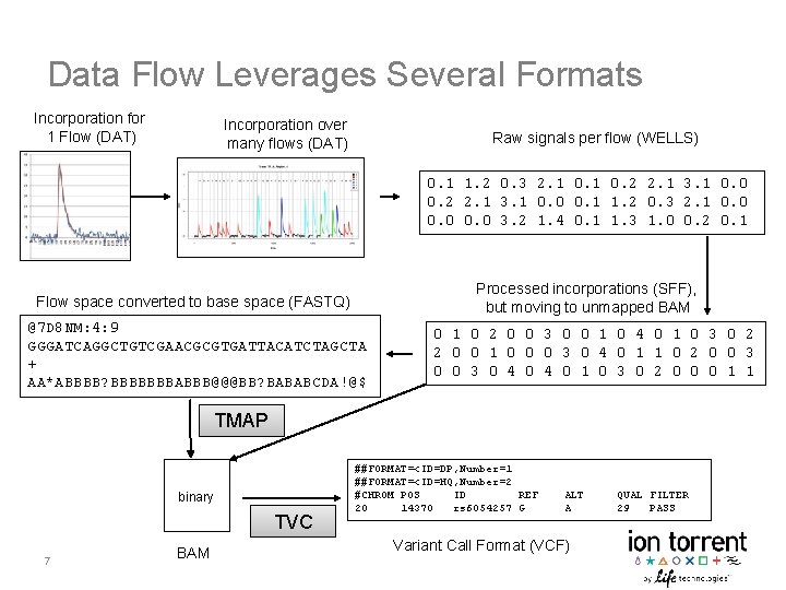 Data Flow Leverages Several Formats Incorporation for 1 Flow (DAT) Incorporation over many flows