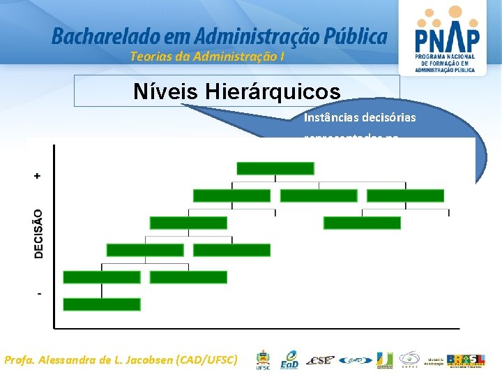 Teorias da Administração I Níveis Hierárquicos Instâncias decisórias representadas na estrutura organizacional que determinam