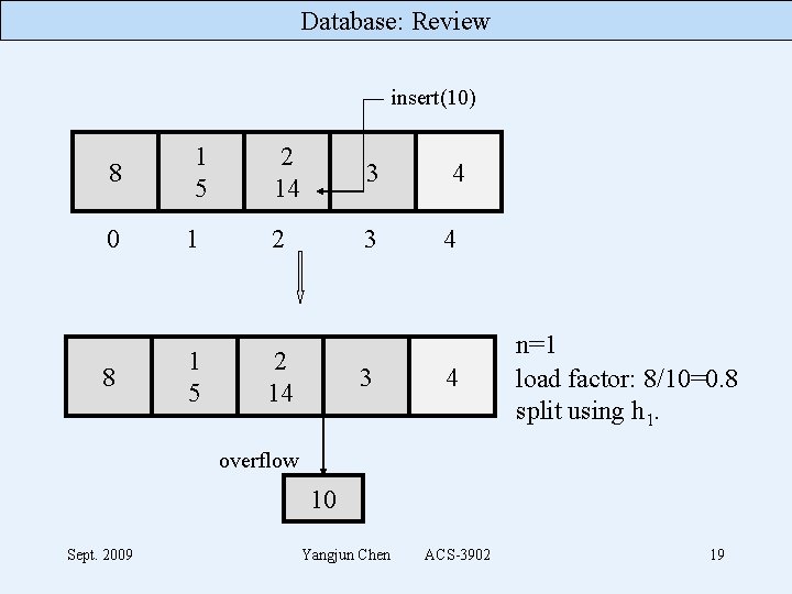 Database: Review insert(10) 8 0 8 1 5 1 1 5 2 14 3