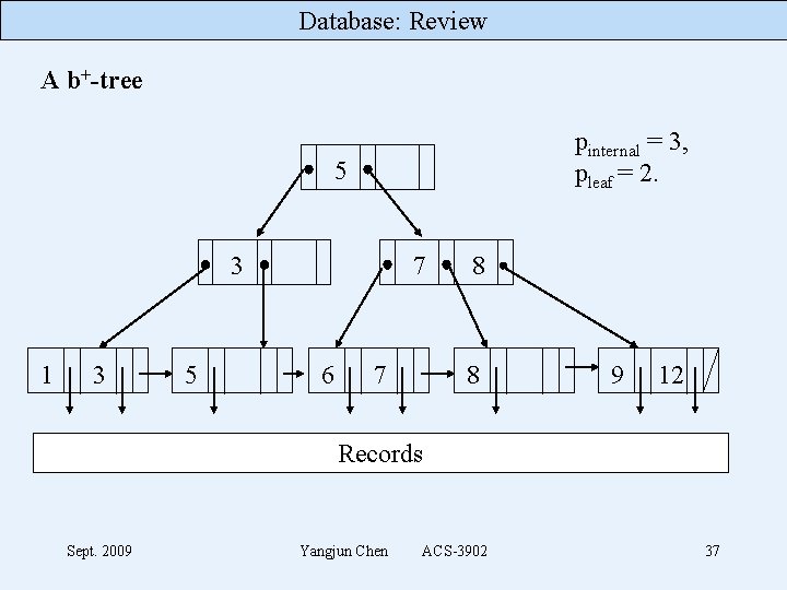 Database: Review A b+-tree pinternal = 3, pleaf = 2. 5 3 1 3