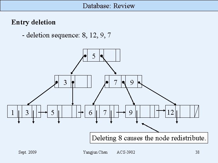 Database: Review Entry deletion - deletion sequence: 8, 12, 9, 7 5 7 3