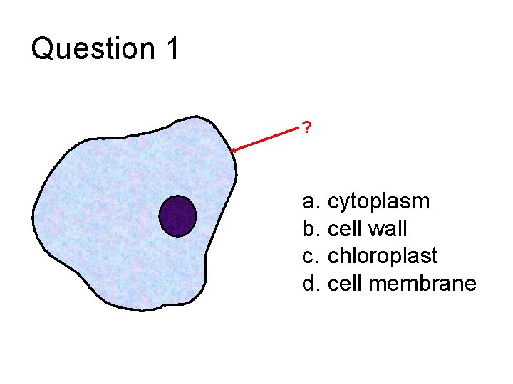 Question 1 ? a. cytoplasm b. cell wall c. chloroplast d. cell membrane 