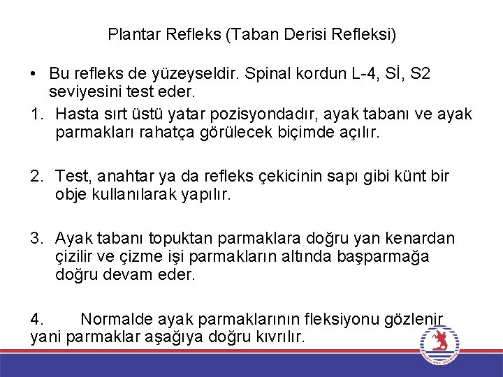 Plantar Refleks (Taban Derisi Refleksi) • Bu refleks de yüzeyseldir. Spinal kordun L-4, Sİ,