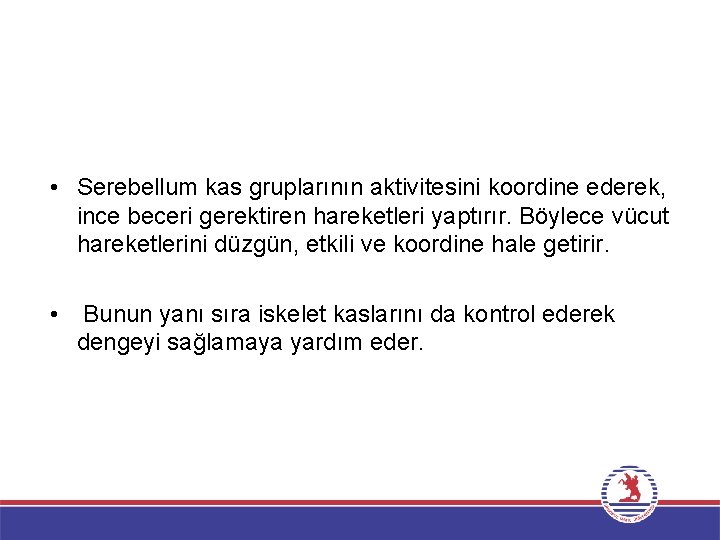  • Serebellum kas gruplarının aktivitesini koordine ederek, ince beceri gerektiren hareketleri yaptırır. Böylece