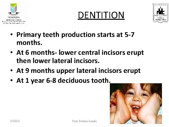  DENTITION • Primary teeth production starts at 5 -7 months. • At 6