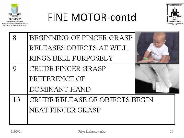 FINE MOTOR-contd 8 9 10 3/3/2021 BEGINNING OF PINCER GRASP RELEASES OBJECTS AT WILL