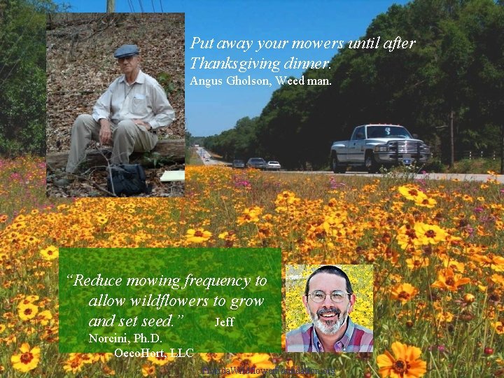 Put away your mowers until after Thanksgiving dinner. Angus Gholson, Weed man. “Reduce mowing