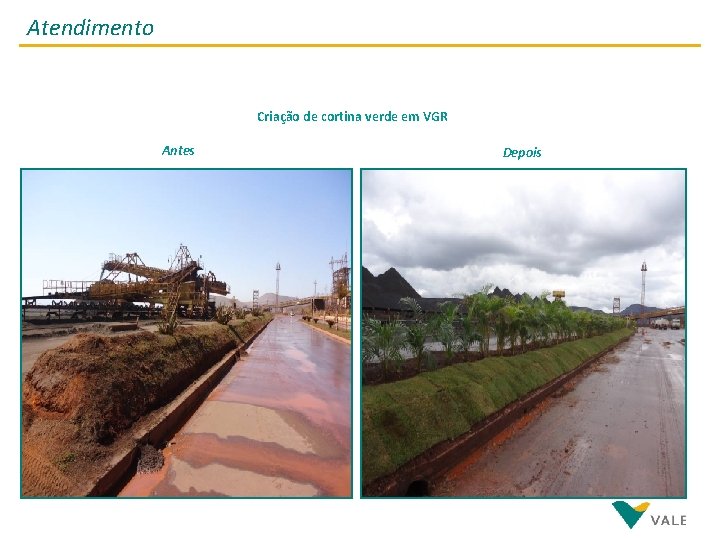 Atendimento Criação de cortina verde em VGR Antes Depois 