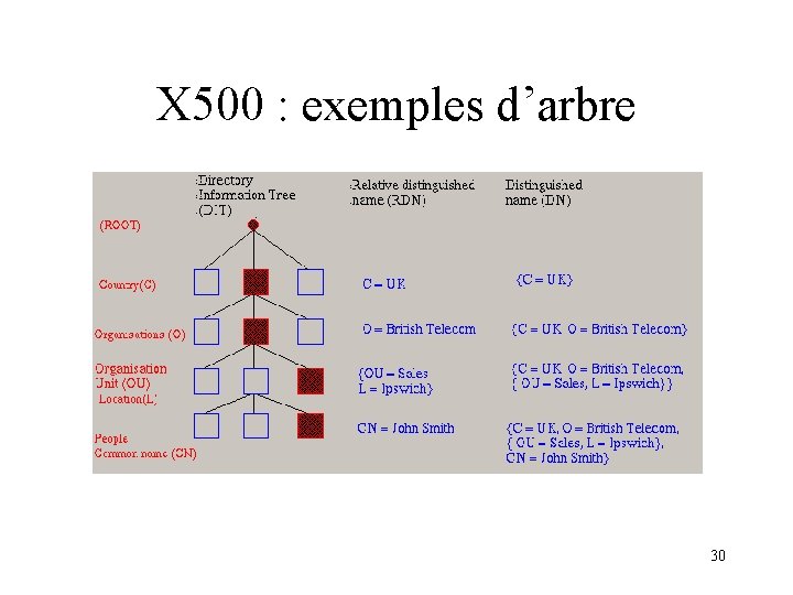 X 500 : exemples d’arbre 30 