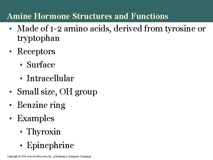 Amine Hormone Structures and Functions • Made of 1 -2 amino acids, derived from