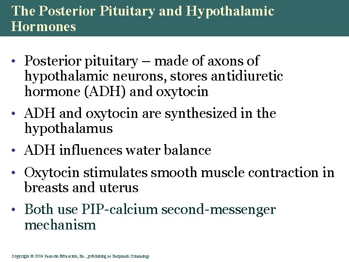 The Posterior Pituitary and Hypothalamic Hormones • Posterior pituitary – made of axons of