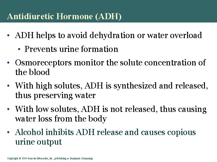 Antidiuretic Hormone (ADH) • ADH helps to avoid dehydration or water overload • Prevents