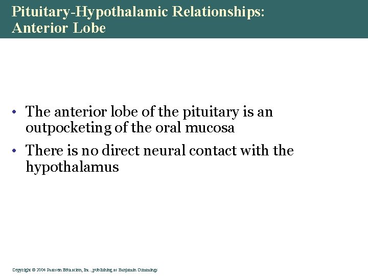 Pituitary-Hypothalamic Relationships: Anterior Lobe • The anterior lobe of the pituitary is an outpocketing