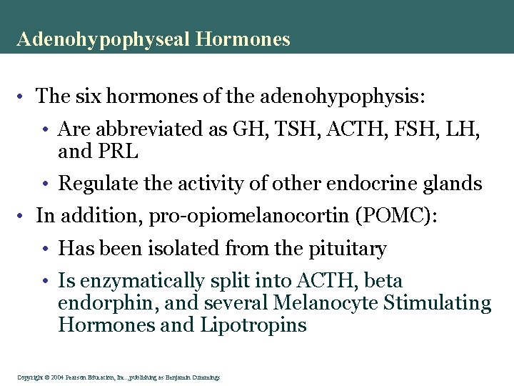 Adenohypophyseal Hormones • The six hormones of the adenohypophysis: • Are abbreviated as GH,