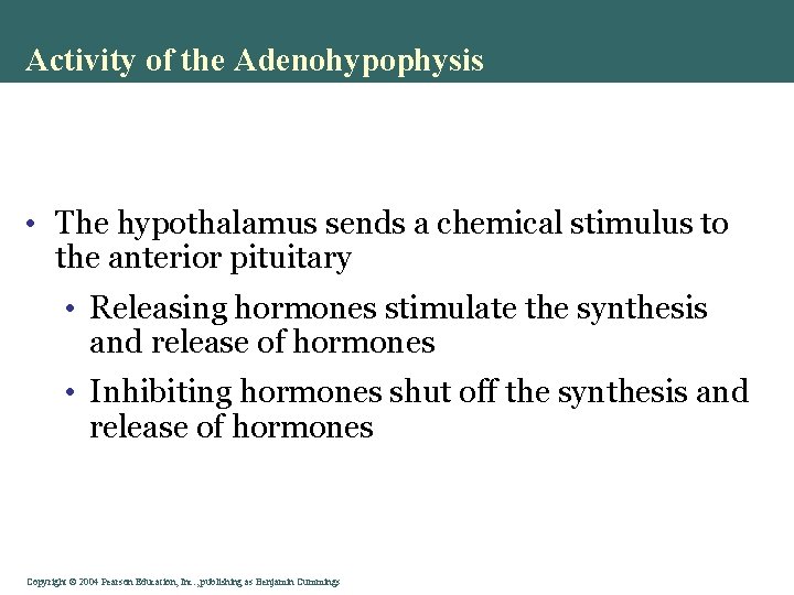 Activity of the Adenohypophysis • The hypothalamus sends a chemical stimulus to the anterior