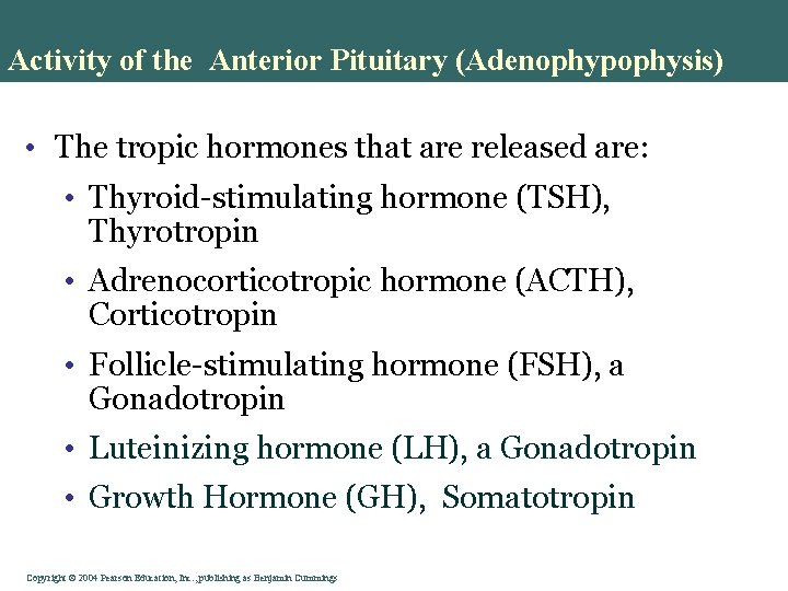 Activity of the Anterior Pituitary (Adenophypophysis) • The tropic hormones that are released are: