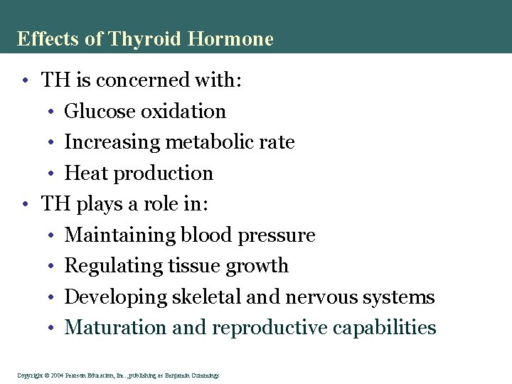 Effects of Thyroid Hormone • TH is concerned with: • Glucose oxidation • Increasing