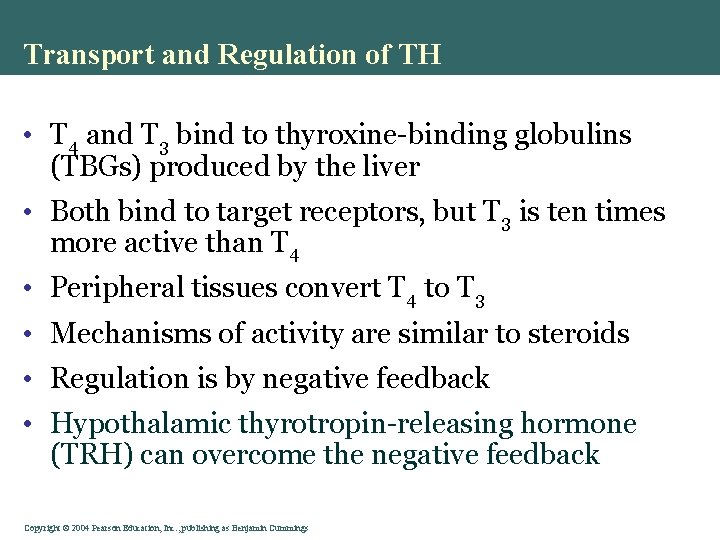 Transport and Regulation of TH • T 4 and T 3 bind to thyroxine-binding