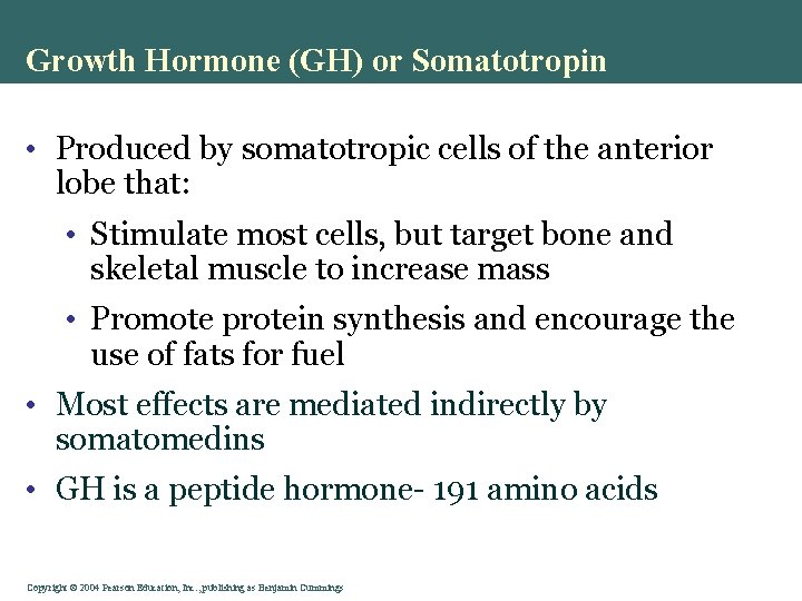 Growth Hormone (GH) or Somatotropin • Produced by somatotropic cells of the anterior lobe