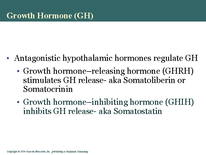 Growth Hormone (GH) • Antagonistic hypothalamic hormones regulate GH • Growth hormone–releasing hormone (GHRH)