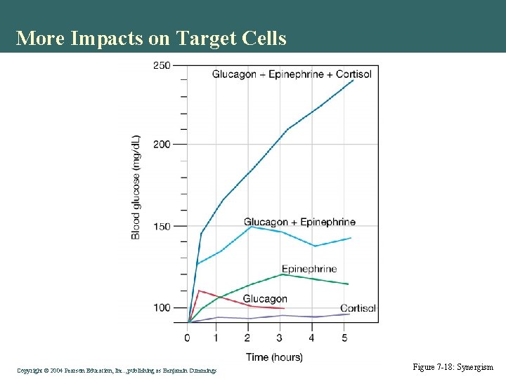 More Impacts on Target Cells Copyright © 2004 Pearson Education, Inc. , publishing as