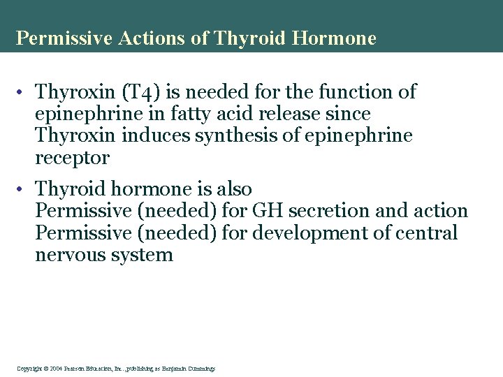 Permissive Actions of Thyroid Hormone • Thyroxin (T 4) is needed for the function