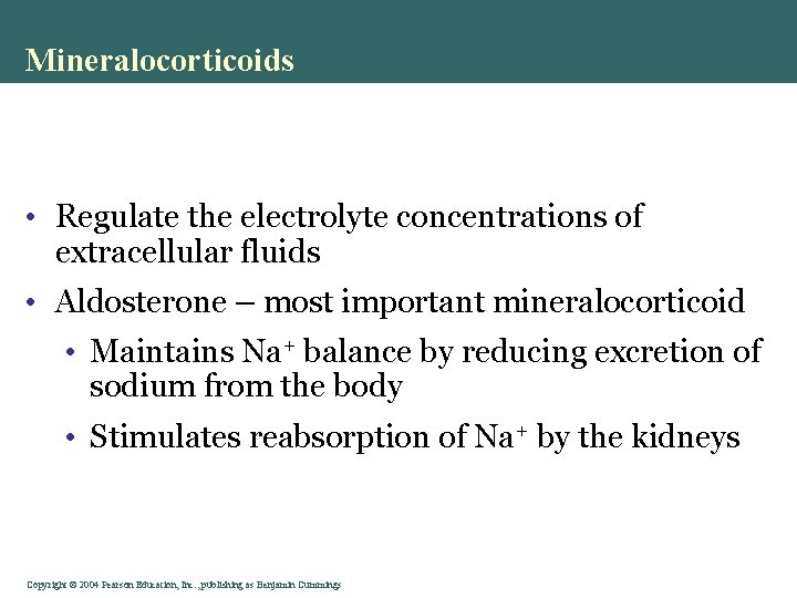 Mineralocorticoids • Regulate the electrolyte concentrations of extracellular fluids • Aldosterone – most important