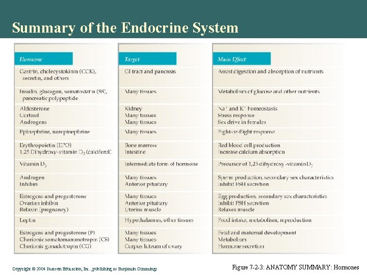 Summary of the Endocrine System Copyright © 2004 Pearson Education, Inc. , publishing as