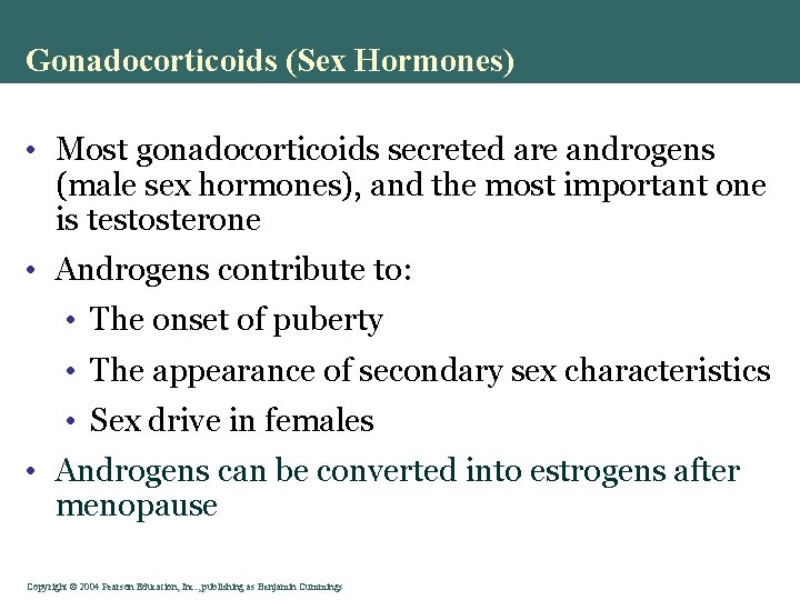 Gonadocorticoids (Sex Hormones) • Most gonadocorticoids secreted are androgens (male sex hormones), and the