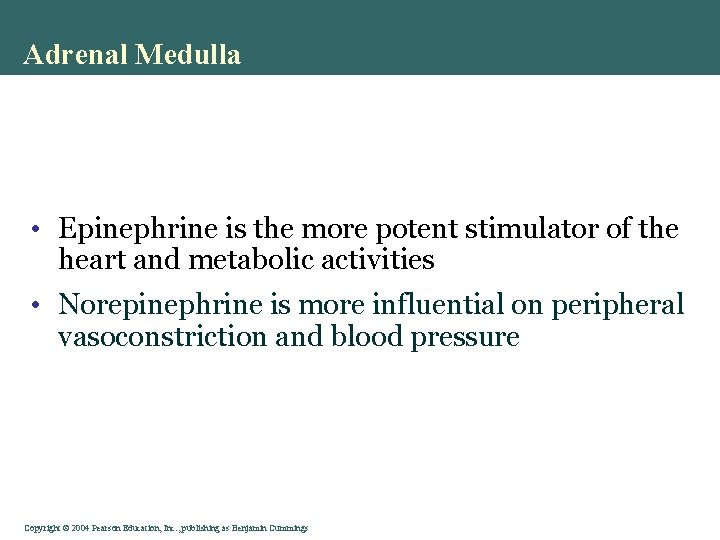Adrenal Medulla • Epinephrine is the more potent stimulator of the heart and metabolic