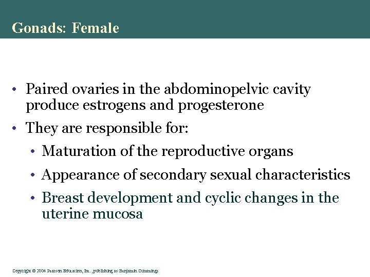 Gonads: Female • Paired ovaries in the abdominopelvic cavity produce estrogens and progesterone •